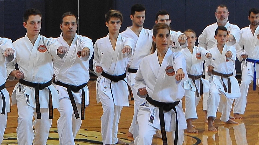 Karate Academy YMCA/WSKF | 20201 Saddle Club Rd, Weston, FL 33327, USA | Phone: (786) 622-6765