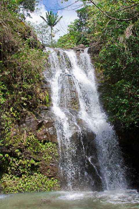 Adventure Tours Hawaii | 58-117 Iwia Pl, Haleiwa, HI 96712, USA | Phone: (808) 321-9900