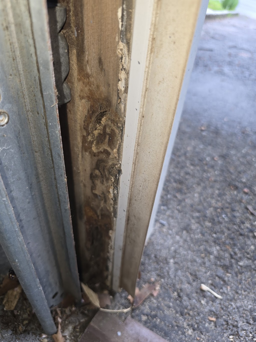 gam exterminating | 324 Clocks Blvd, Massapequa, NY 11758, USA | Phone: (877) 732-2057