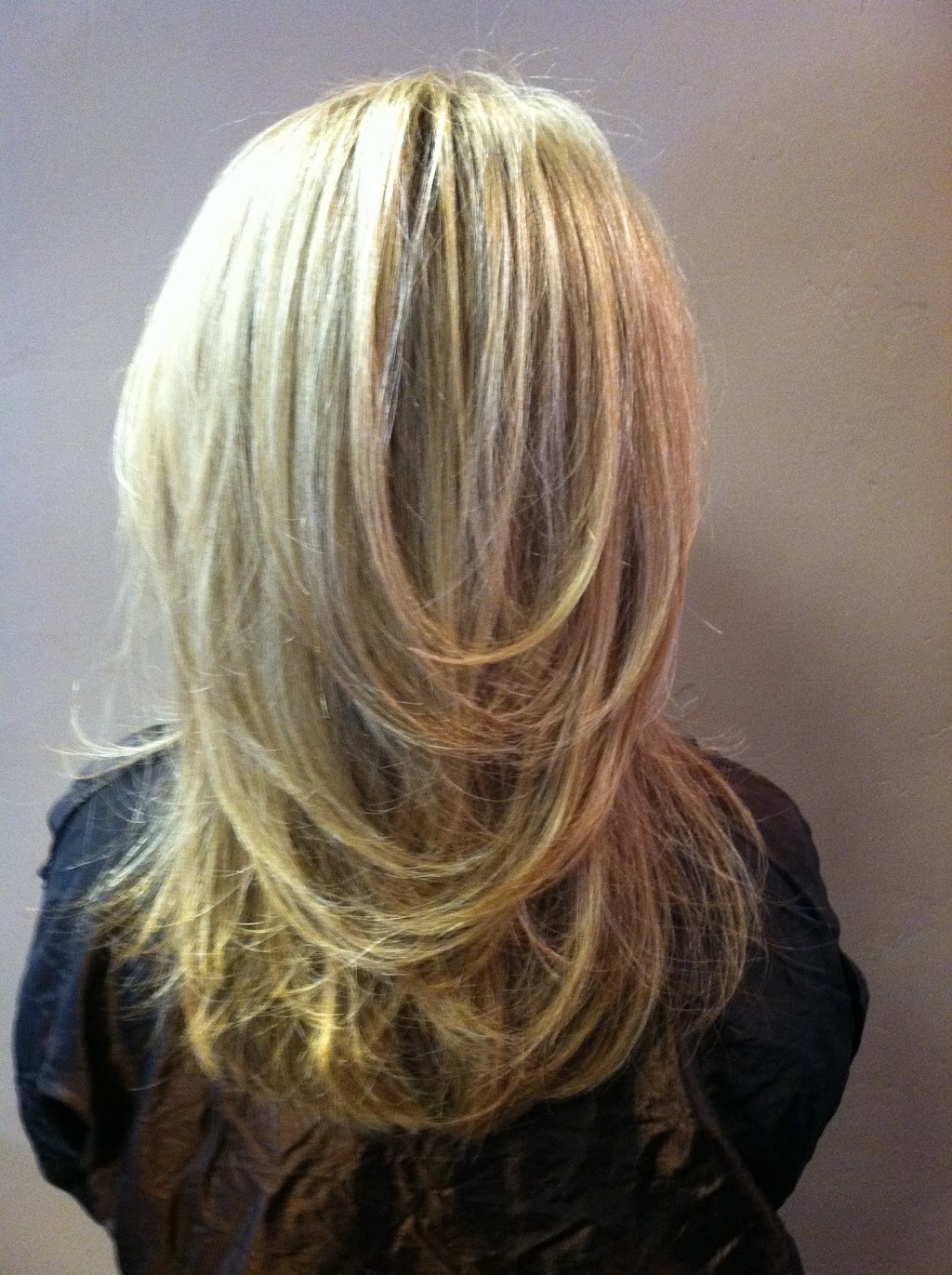 Lana Gosch Hair Stylist | 308 E Main St, Los Gatos, CA 95030, USA | Phone: (408) 612-6734