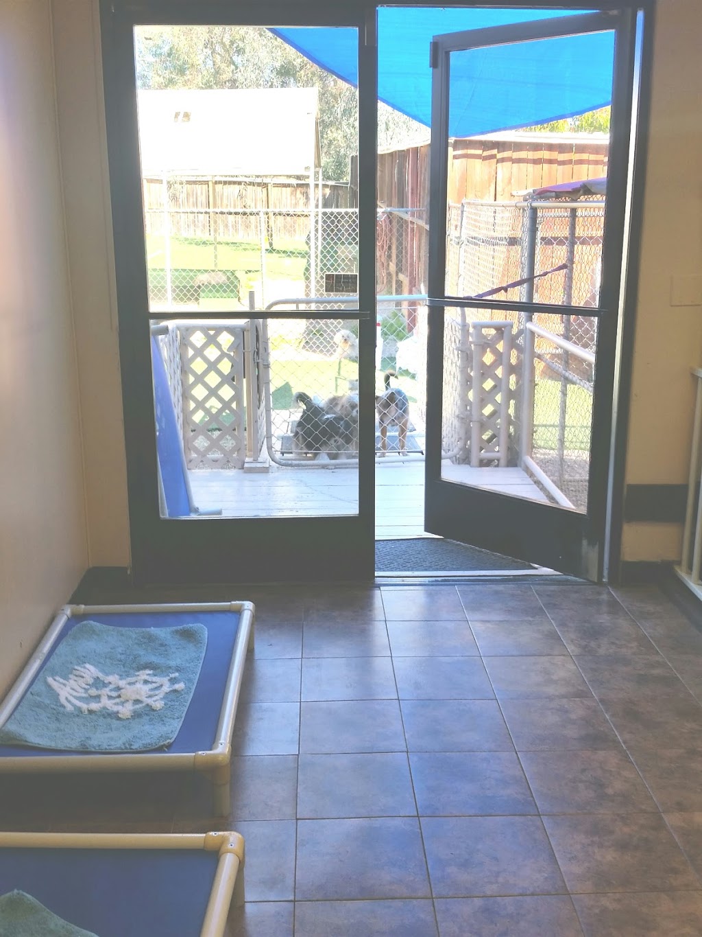 All Pets Boarding Resort | 3994 Delmar Ave, Loomis, CA 95650, USA | Phone: (916) 652-3687