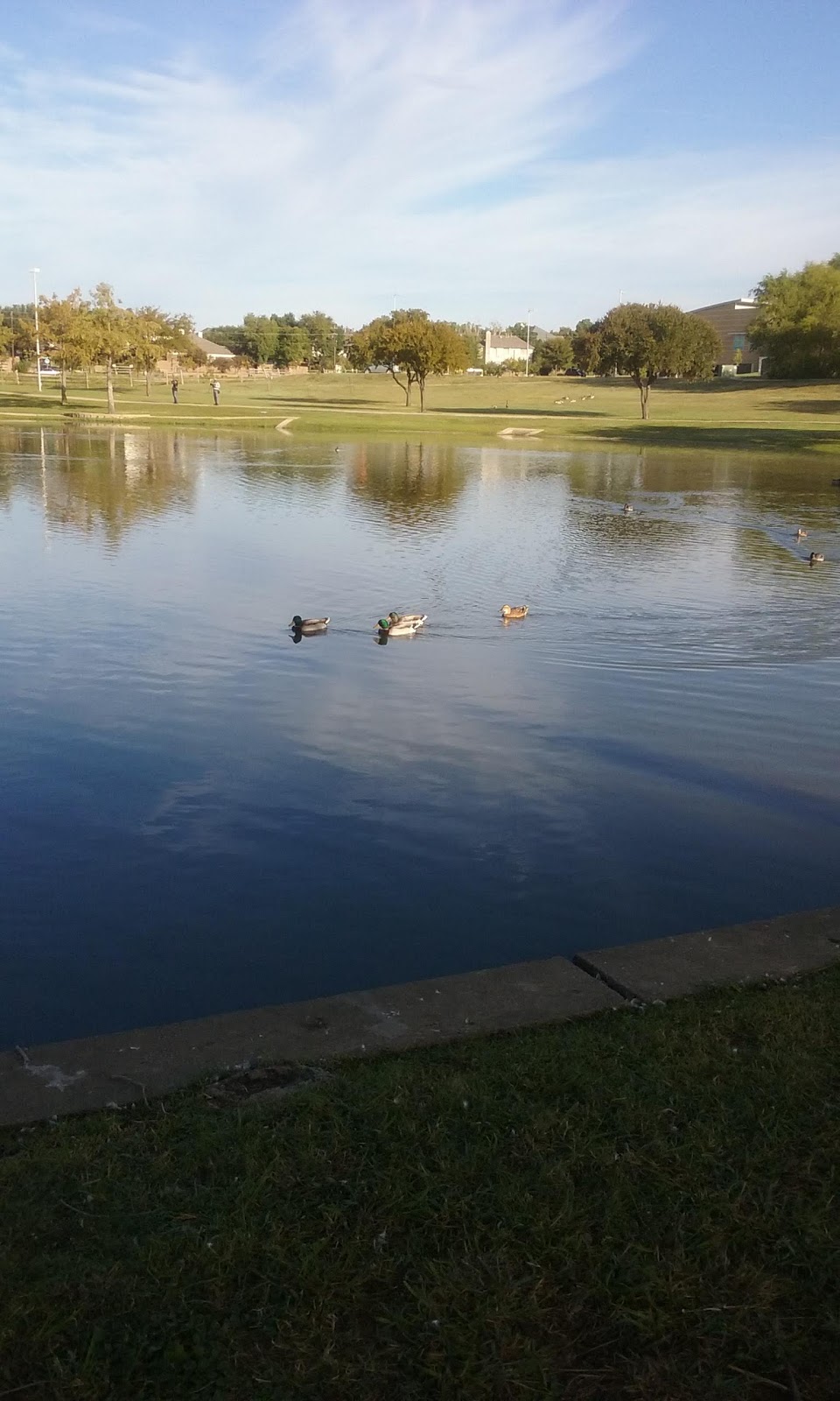 W.J. Thomas Splash Pad | 1955 Perry Rd, Carrollton, TX 75006 | Phone: (972) 466-3080