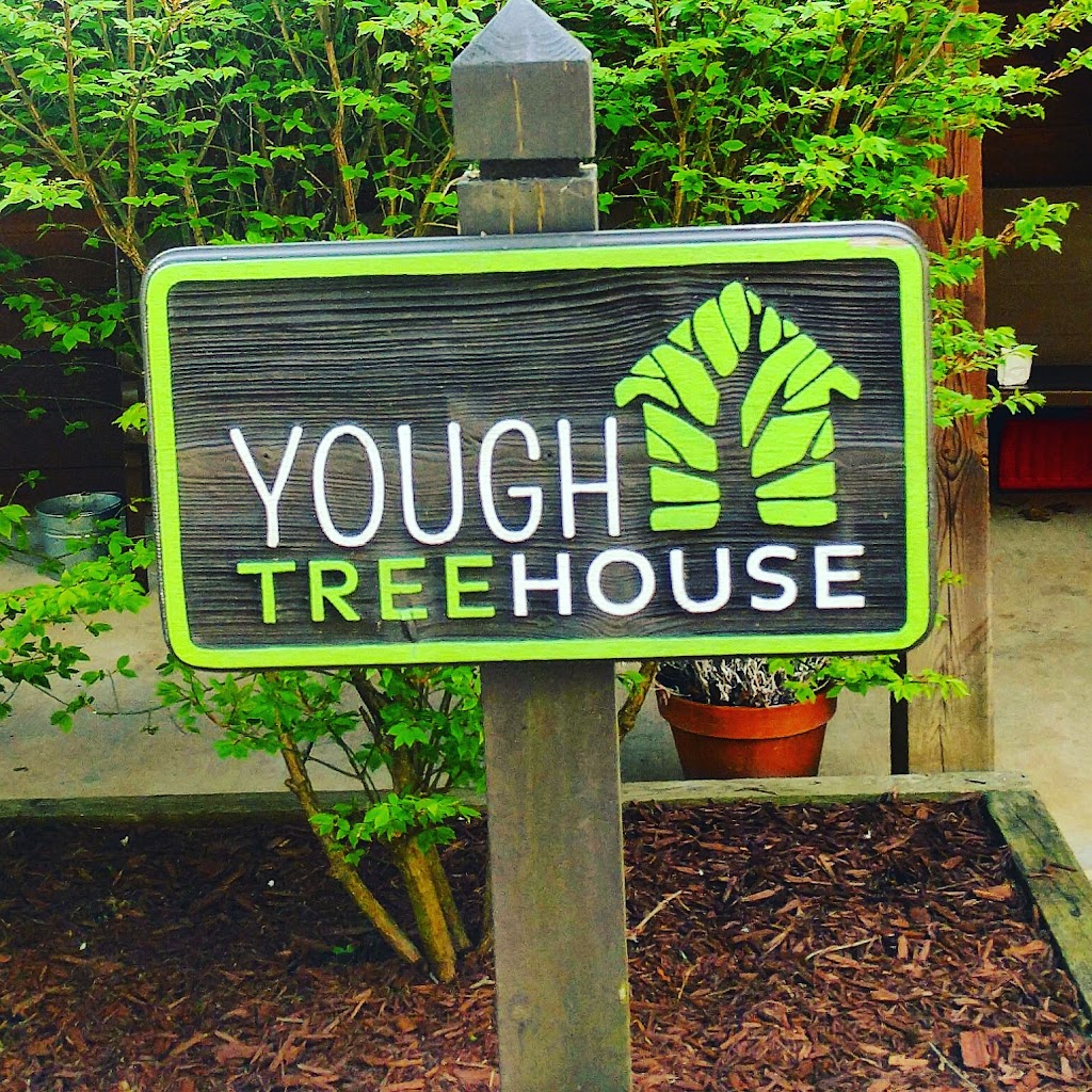 Yough Treehouse | 926 River Rd, Confluence, PA 15424, USA | Phone: (304) 685-9142