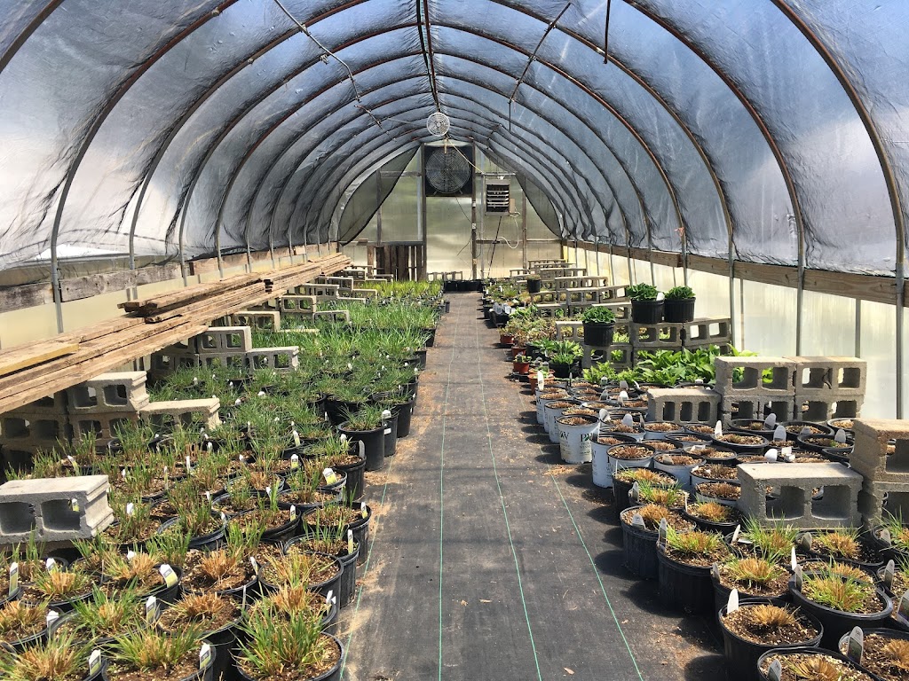 Sunshine Plants | 1240 Bogie Lake Rd, White Lake Charter Township, MI 48383 | Phone: (248) 887-3893