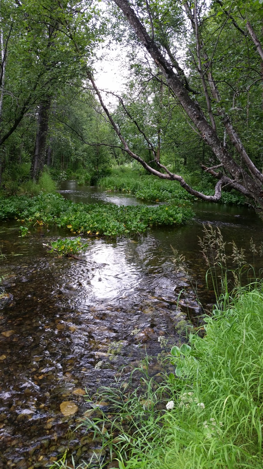 Alaska Creekside Cabins | 3200 Dolly Varden Dr, Wasilla, AK 99654, USA | Phone: (907) 355-4632