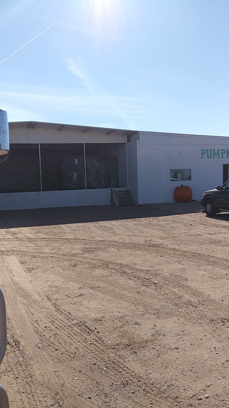 Pumpkin Pyle | 900 N 2nd St, Floydada, TX 79235 | Phone: (806) 983-2363