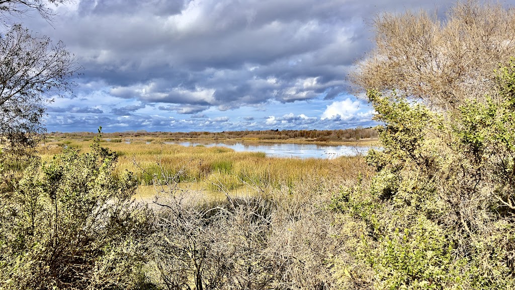 San Joaquin River National Wildlife Refuge | 2714 Dairy Rd, Vernalis, CA 95385, USA | Phone: (209) 826-3508