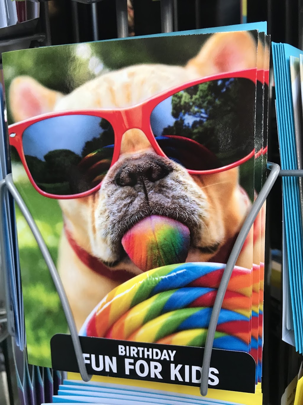 Rainbow City Limit | 116 San Jose Ave, Capitola, CA 95010, USA | Phone: (831) 476-9769 Rainbow City Limit | 116 San Jose Ave, Capitola, CA 95010, USA | Phone: (831) 476-9769