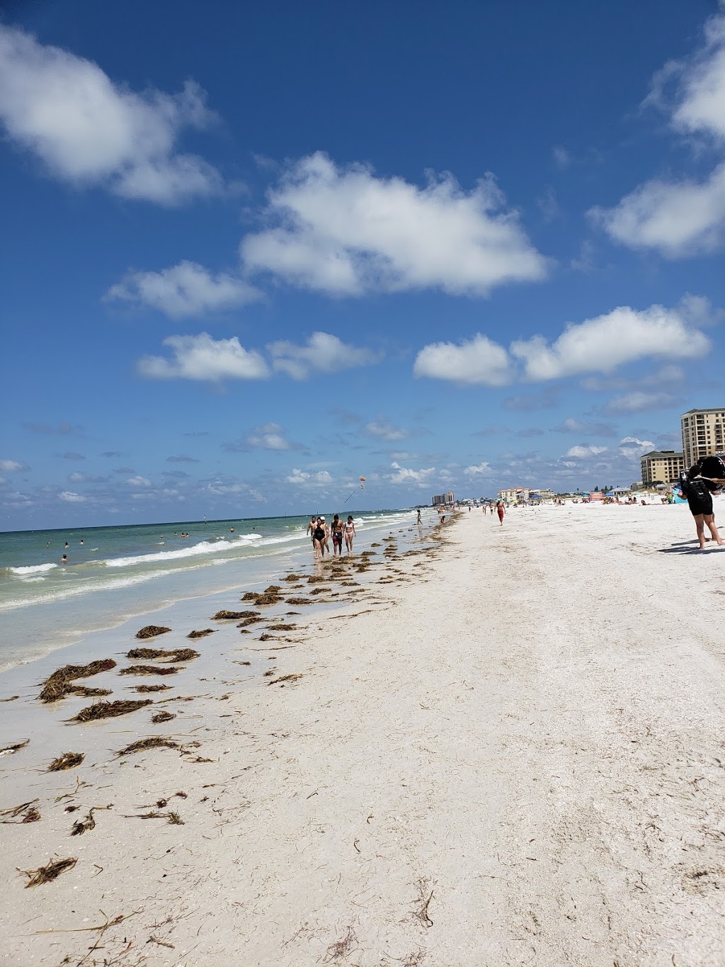 Palm Pavilion Inn | 18 Bay Esplanade, Clearwater Beach, FL 33767, USA | Phone: (800) 433-7256