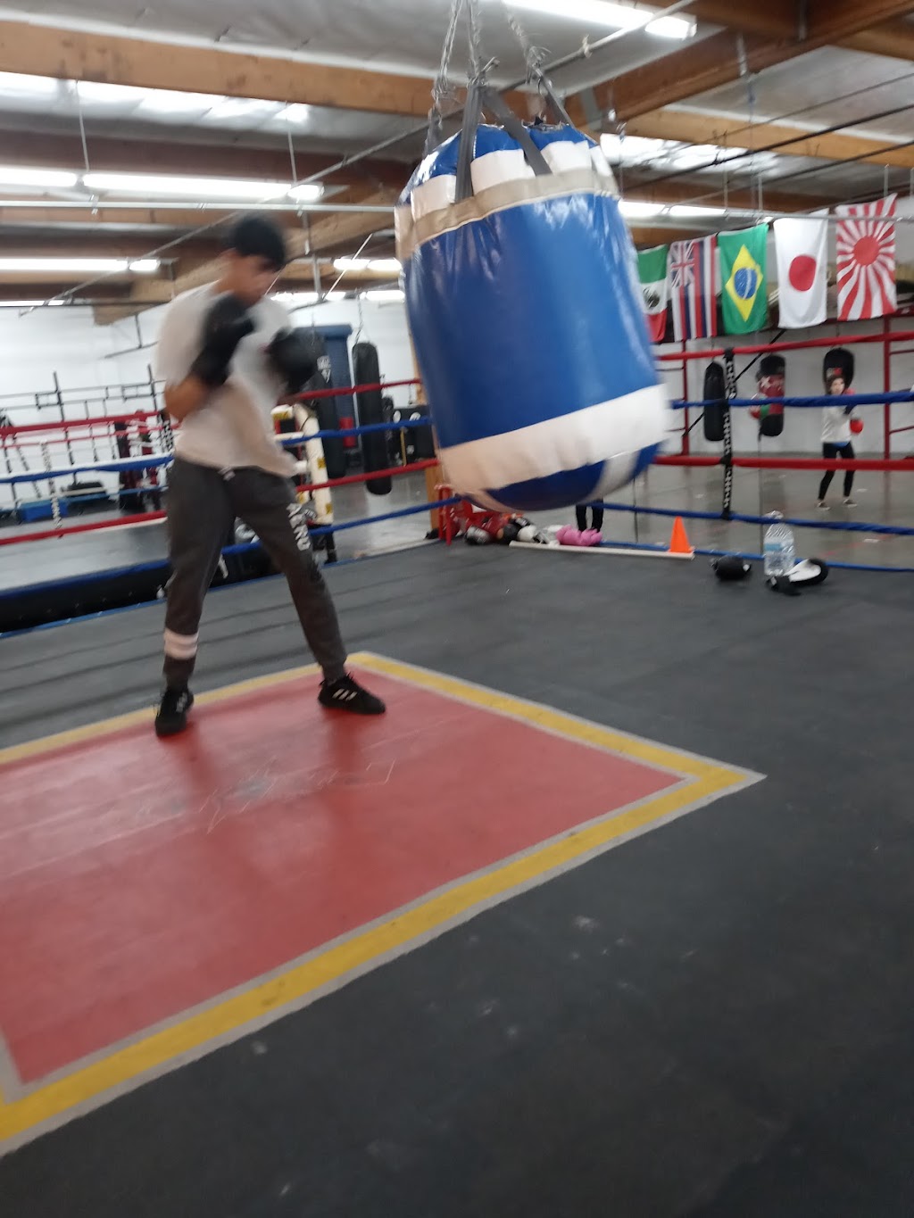 Tazmainian Boxing Club | 3737 N Carson St, Carson City, NV 89706, USA | Phone: (775) 722-1752