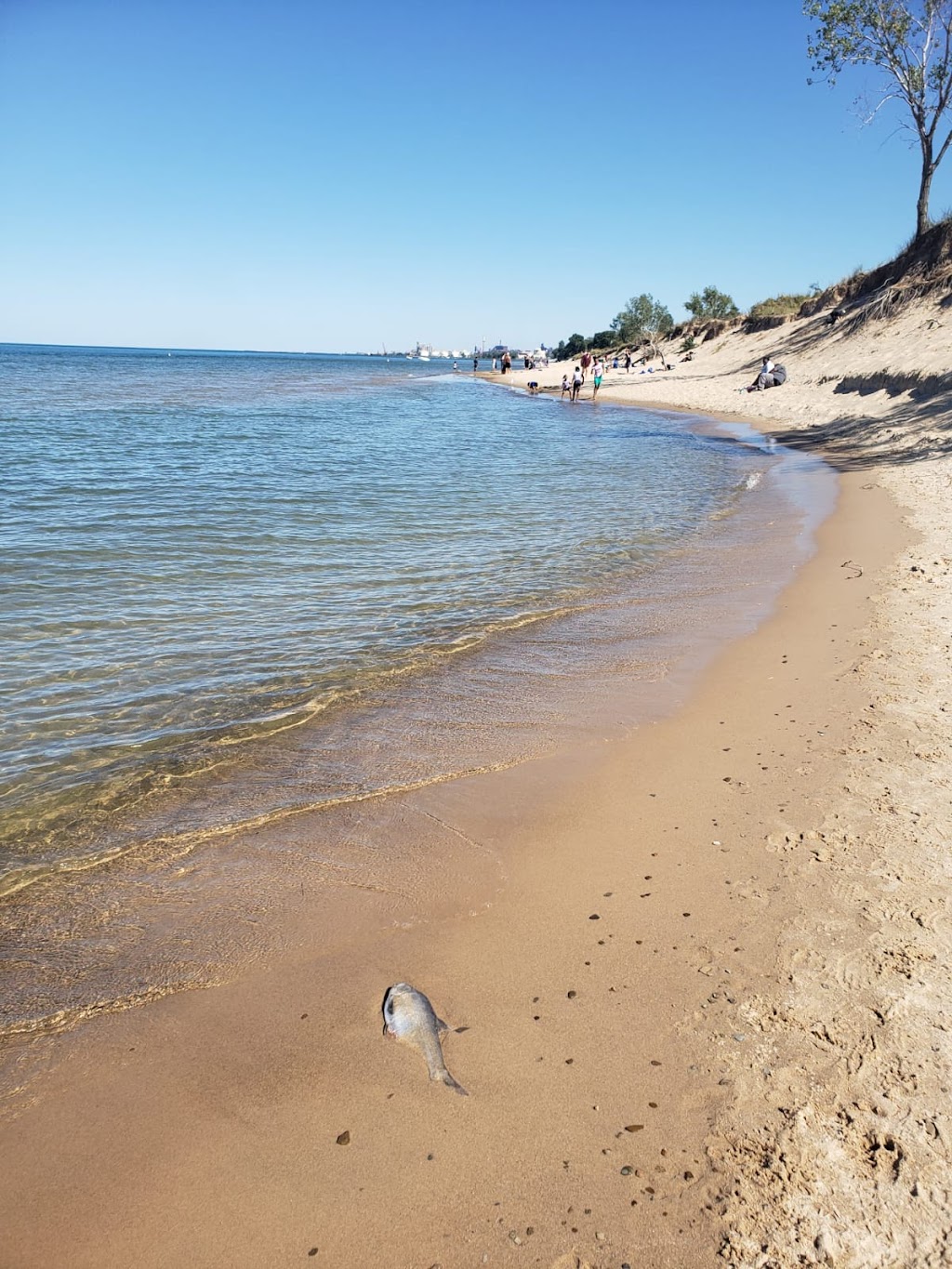 Indiana Dunes National Park West Beach Picnic Area | Gary, IN 46403, USA | Phone: (219) 395-1882