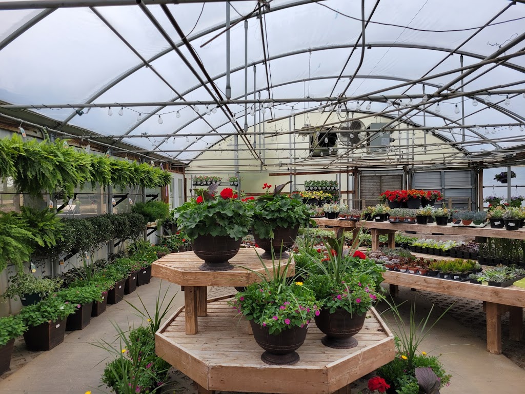 Rhoads Garden Center Inc | 1051 OH-56 E, Circleville, OH 43113, USA | Phone: (800) 378-8934