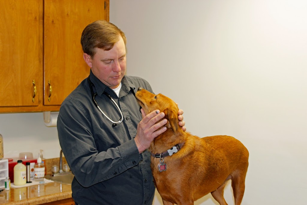 Chesdin Animal Hospital | 25026 Ferndale Rd, Petersburg, VA 23803, USA | Phone: (804) 732-6420