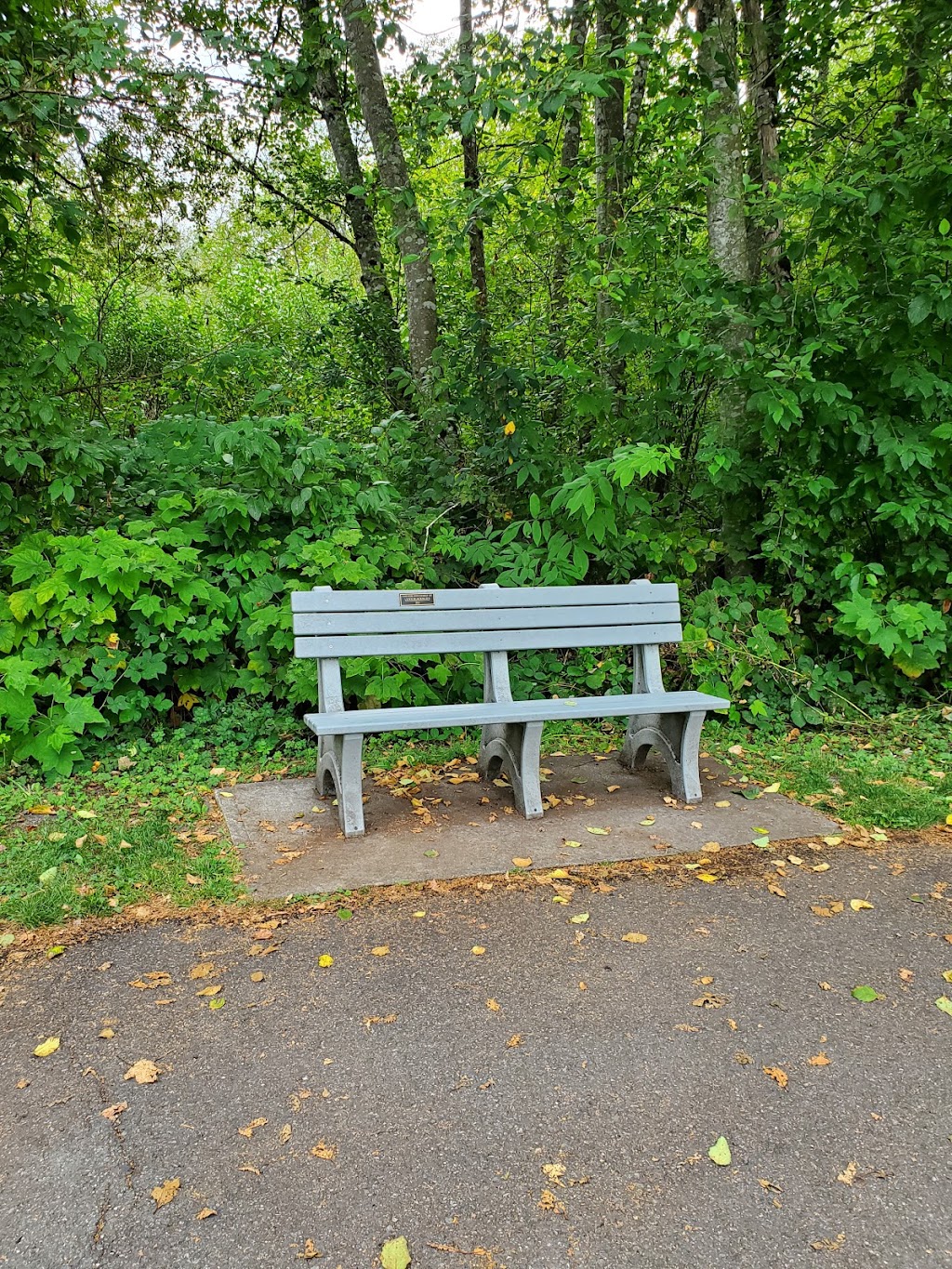 Centennial Trailhead at Hwy 92 Overpass | Hwy 92 Trail Head, Lake Stevens, WA 98258, USA | Phone: (425) 388-6600