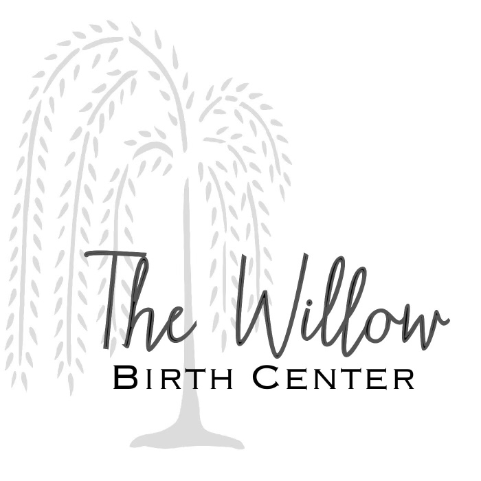 The Willow Birth Center | 11111 Jones Rd #2, Houston, TX 77065, USA | Phone: (832) 557-9749