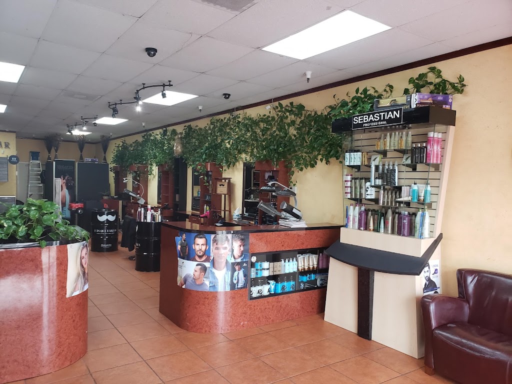 DFreddy Hair Salon | 5461 Holt Blvd # O, Montclair, CA 91763, USA | Phone: (909) 984-0840