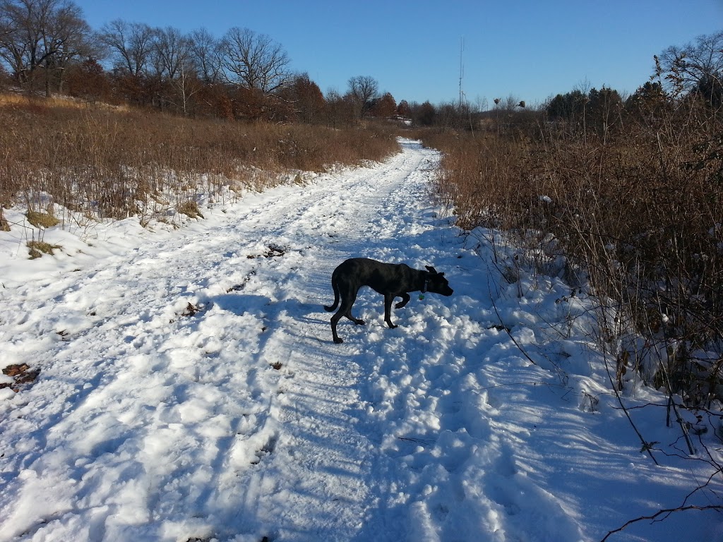 Prairie Moraine Dog Park | 6679 Wesner Ln, Verona, WI 53593 | Phone: (608) 224-3730