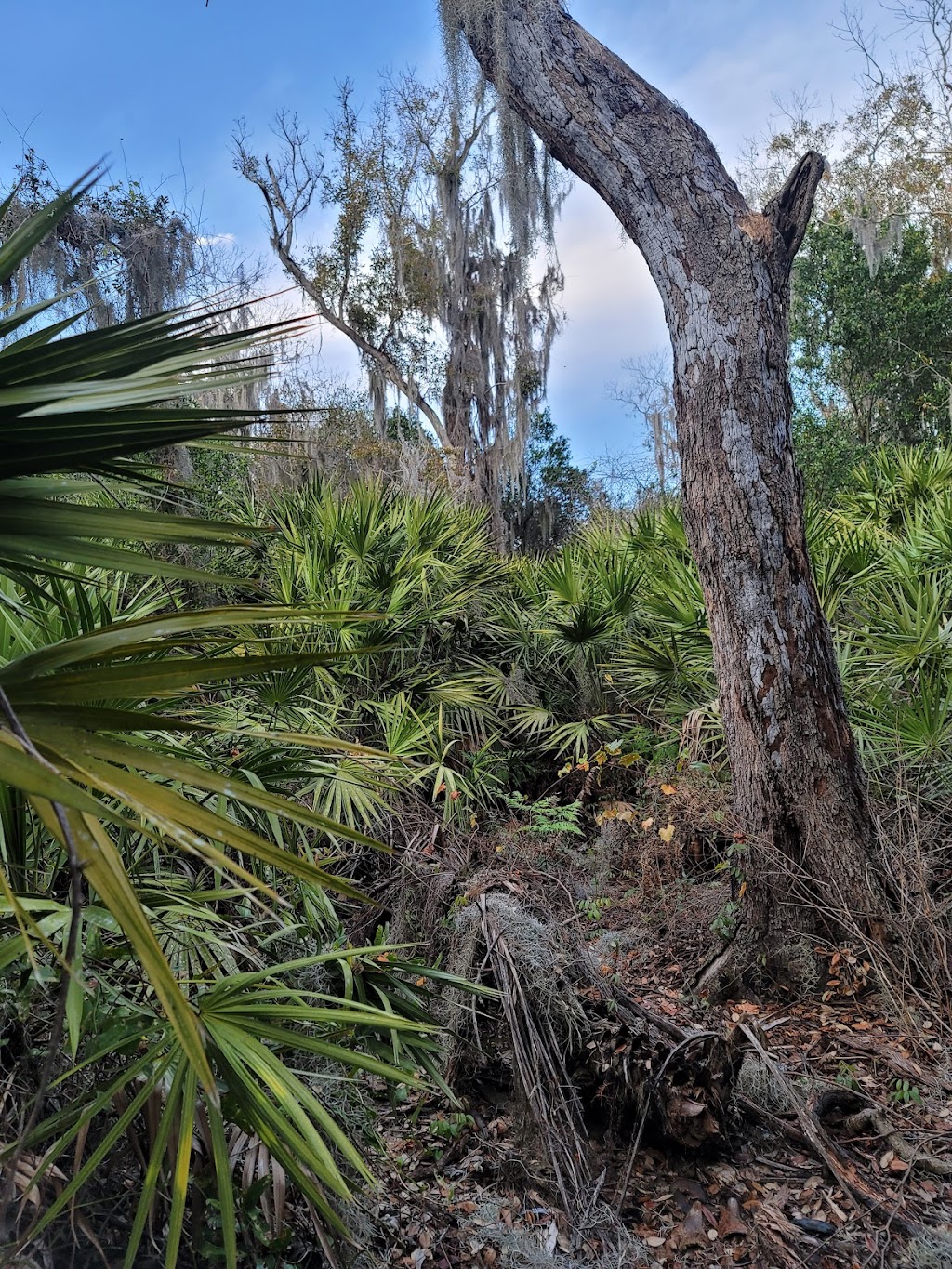 Mackay Gardens and Lakeside Preserve | 945 Mackay Blvd, Lake Alfred, FL 33850, USA | Phone: (863) 291-5272