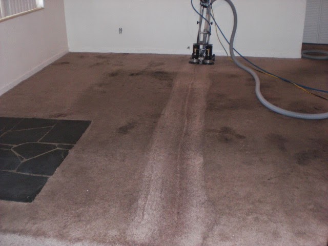 tampabayrestorecarpetcleaning.com | 1500 78th Terrace N, St. Petersburg, FL 33702, USA | Phone: (813) 263-3676