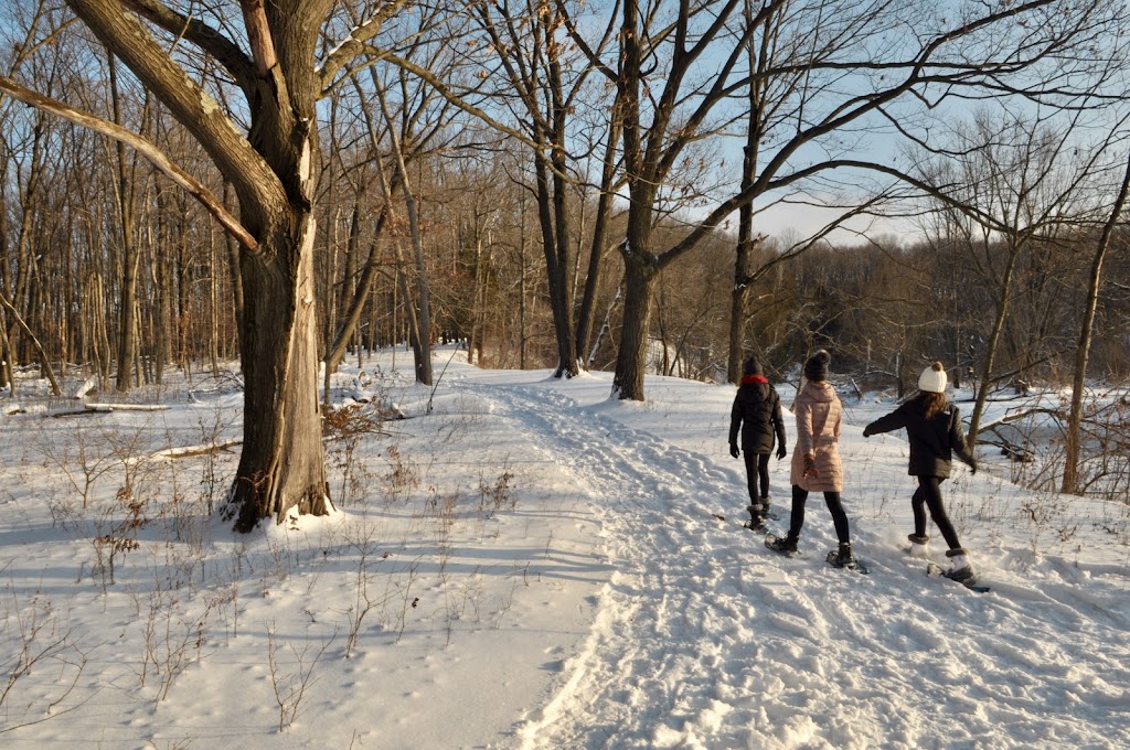 Riveredge Nature Center | 4458 County Rd Y, Saukville, WI 53080, USA | Phone: (262) 375-2715