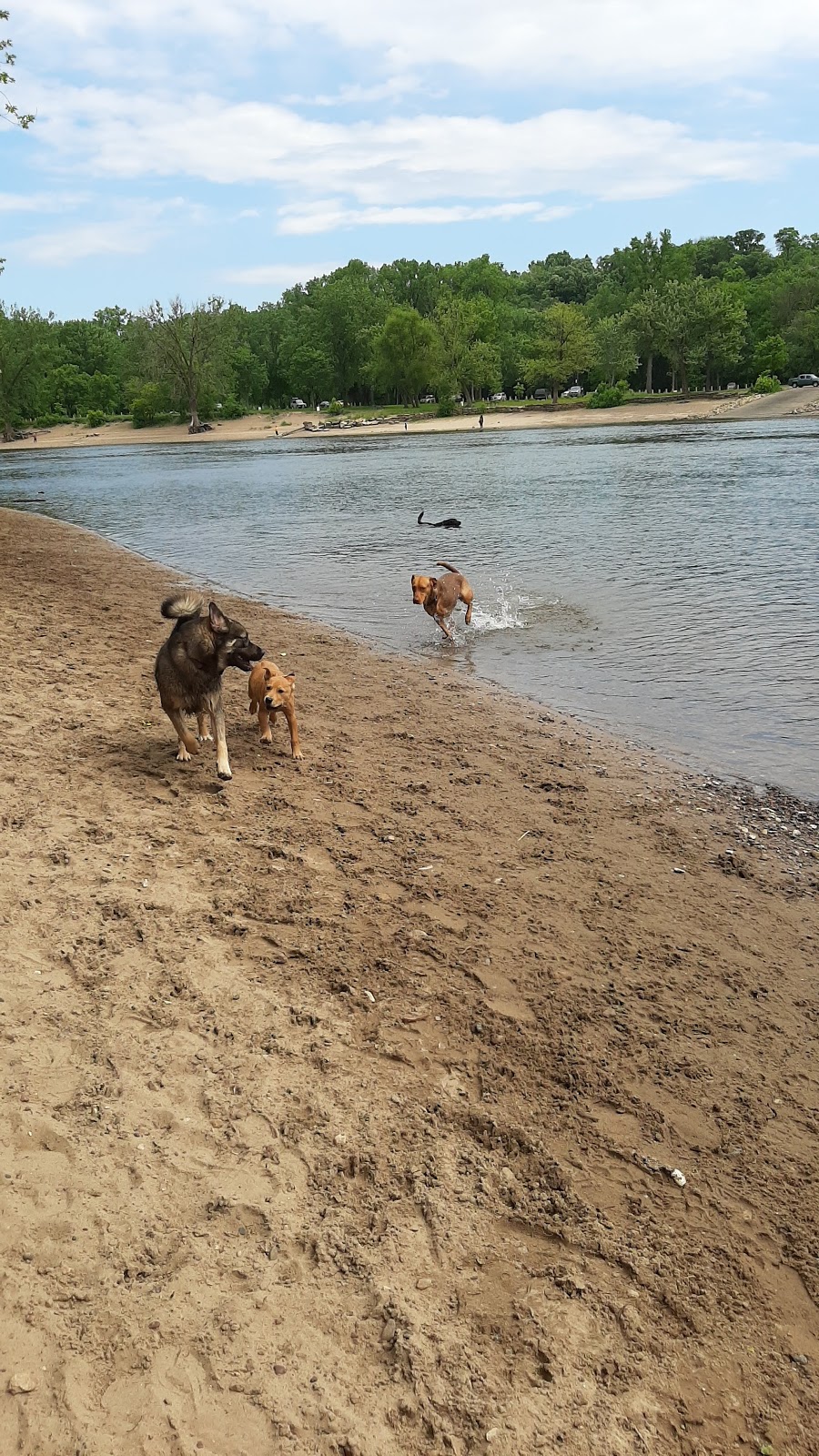 Cleary Lake Dog Park | 19011 Highview Ct, Prior Lake, MN 55372, USA | Phone: (763) 559-9000