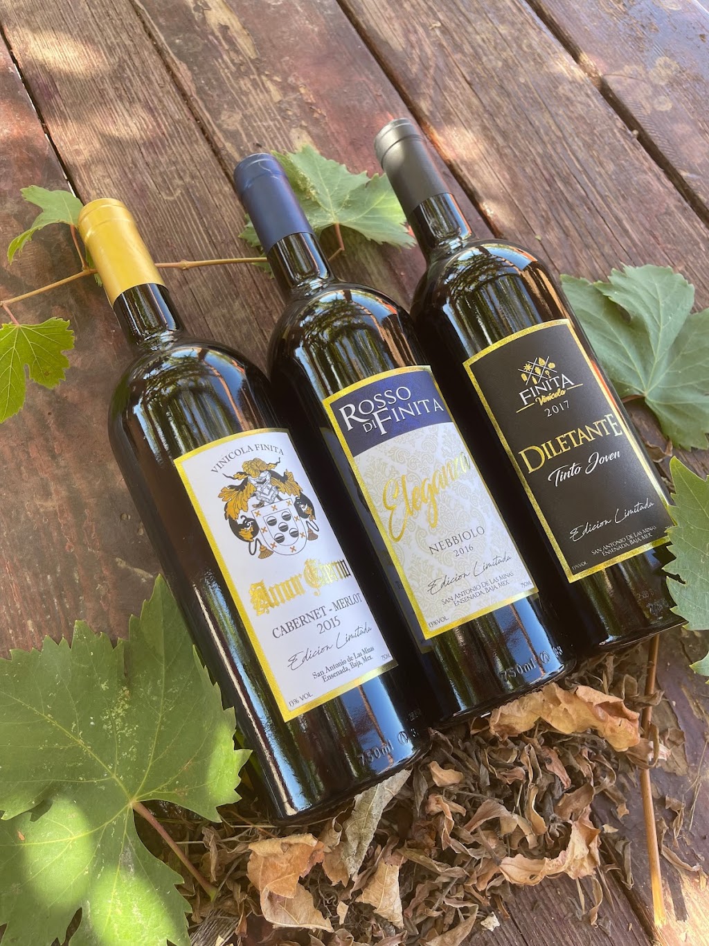 VINOS FINITA | 22766 Villa de Juárez, Baja California, Mexico | Phone: 646 117 1130