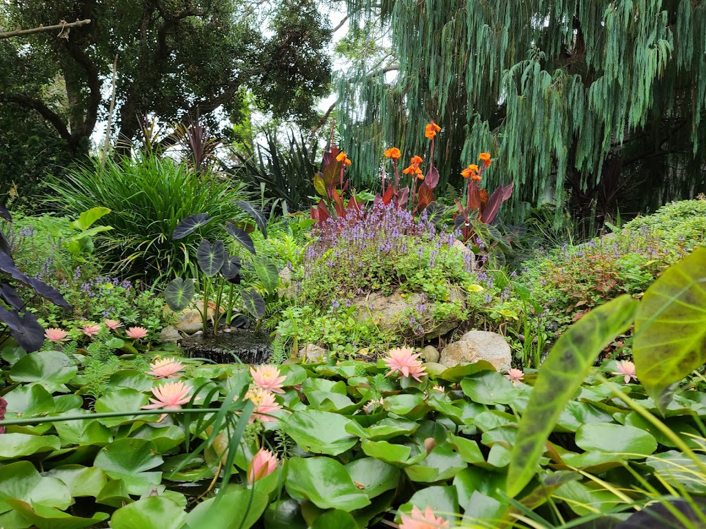 San Diego Botanic Garden | Quail Gardens Drive and, Ecke Ranch Rd, Encinitas, CA 92024, USA | Phone: (760) 436-3036