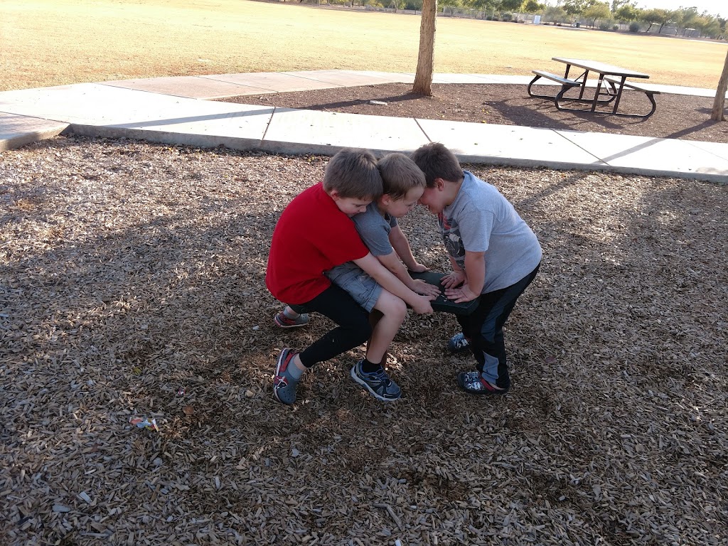 Scotland Yard Dog Park | 9251 W Scotland Ave, Peoria, AZ 85345, USA | Phone: (623) 773-7137