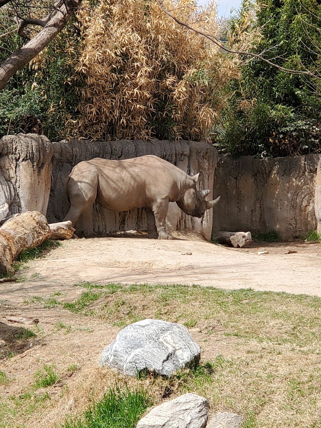 Ticket Booth at Fort Worth Zoo | Fort Worth, TX 76109, USA | Phone: (817) 759-7555