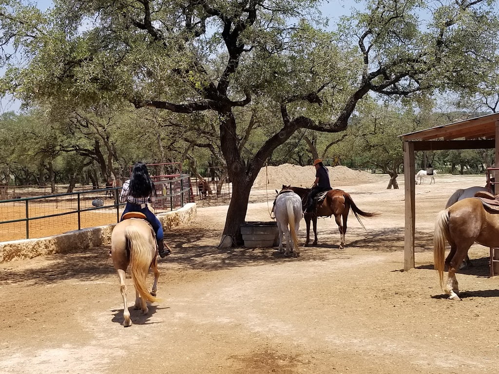 Hollow Tree Ranch | 789 Herbelin Rd, New Braunfels, TX 78132 | Phone: (830) 609-8993