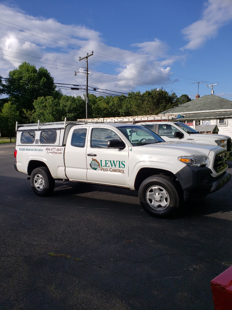 Lewis Pest Control & Wildlife Removal | 9736 Ladino Ln, North Chesterfield, VA 23236, USA | Phone: (804) 735-0100