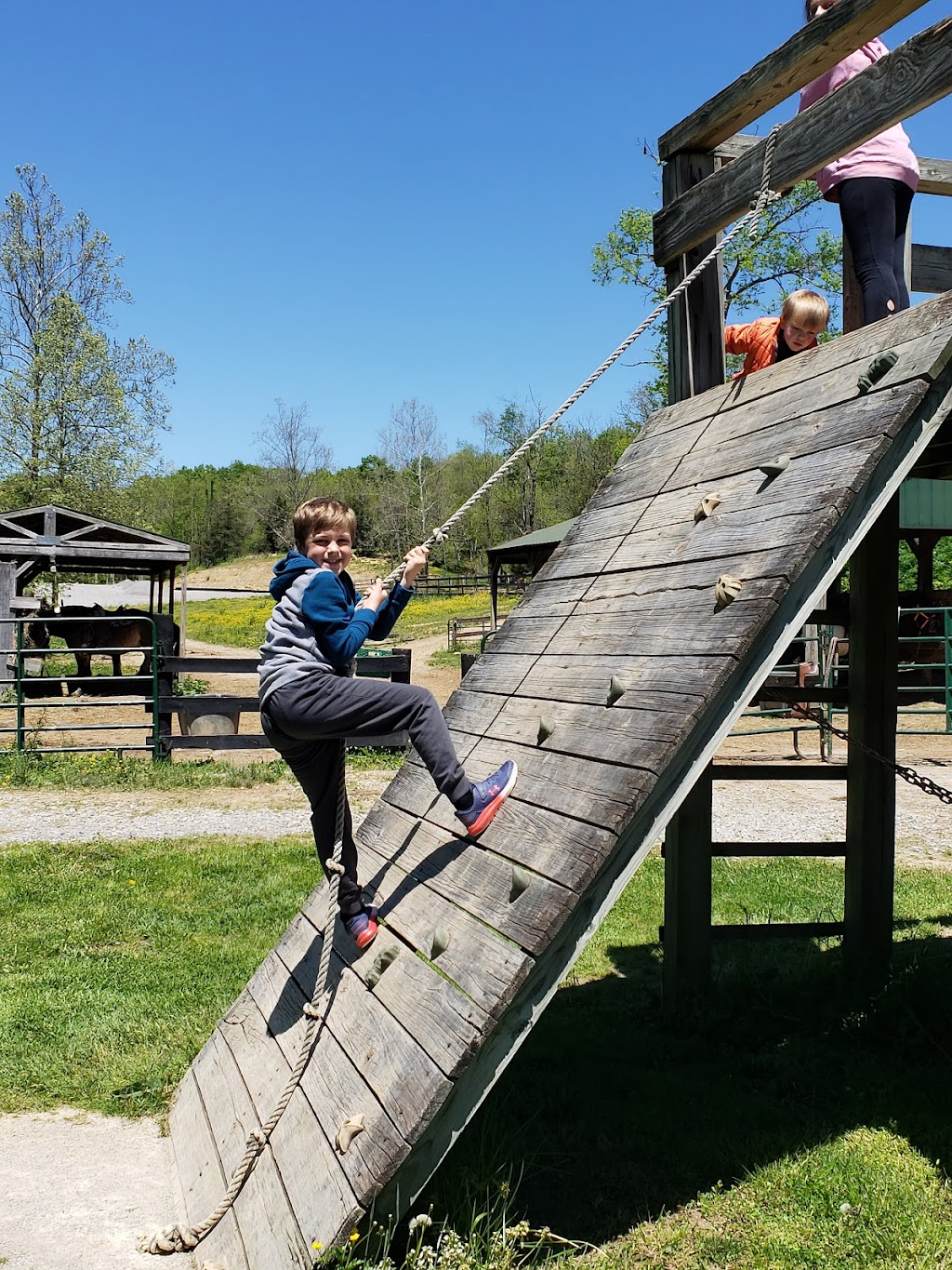 Whispering Woods Riding Stables | 265 Wright Ln, Georgetown, KY 40324, USA | Phone: (502) 570-9663