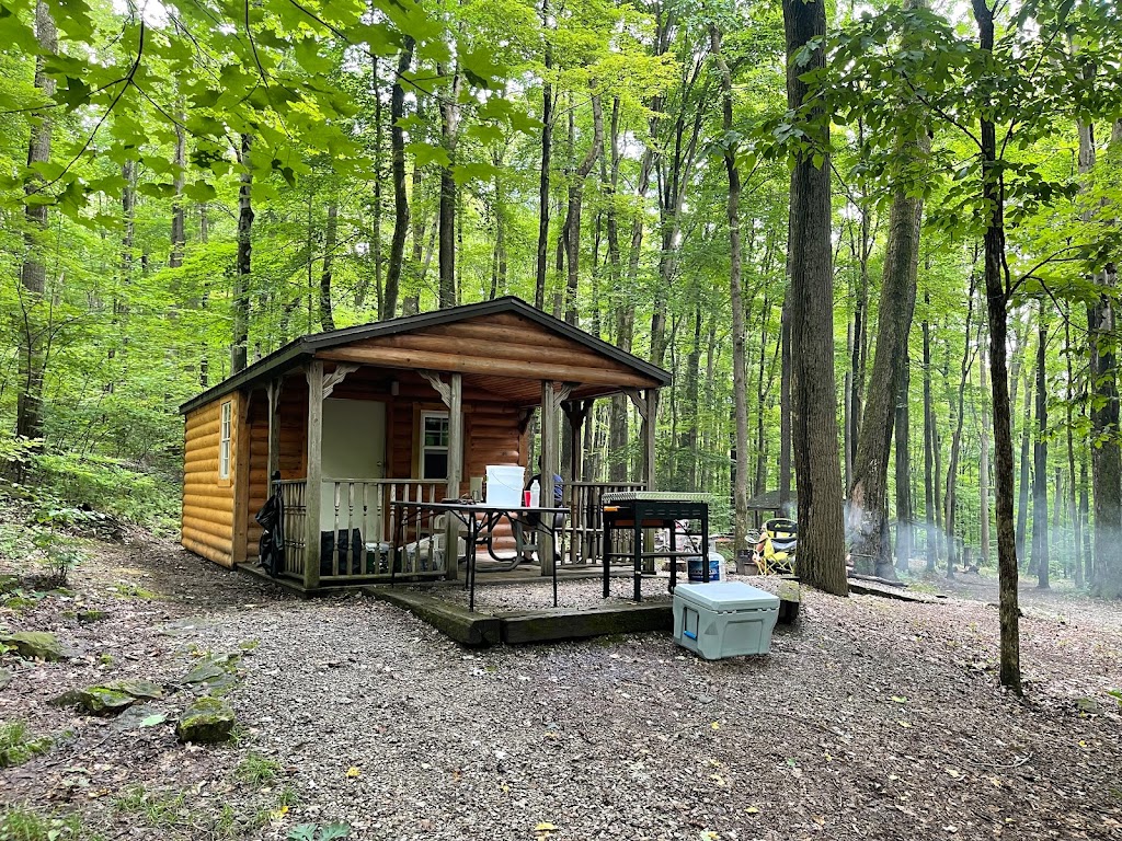 Ohiopyle State Park Kentuck Campground | 400 Kentuck Rd, Dunbar, PA 15431, USA | Phone: (724) 329-8592