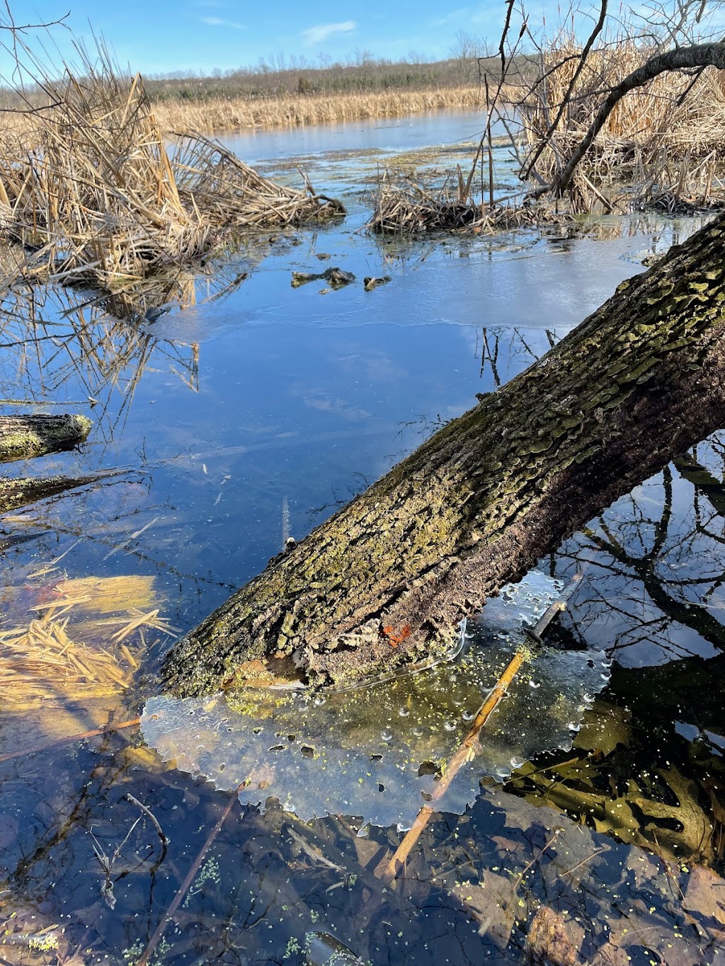 Kettle Moraine State Forest - Loew Lake Unit | Emerald Dr, Hartford, WI 53027, USA | Phone: (262) 670-3403