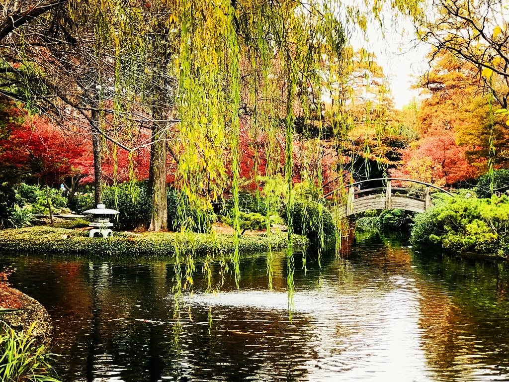 Japanese Garden | 3220 Botanic Garden Blvd, Fort Worth, TX 76107, USA | Phone: (817) 463-4160