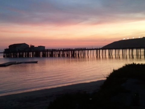 Half Moon Bay Coastside Tours | 225 Cabrillo Hwy S c108, Half Moon Bay, CA 94019, USA | Phone: (650) 720-7050