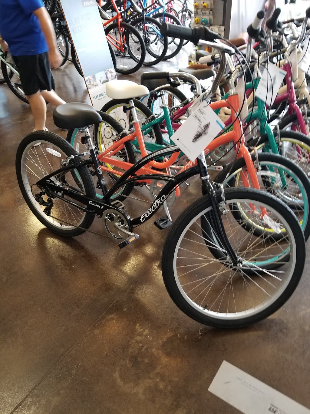 Suncoast Trailside Bicycles | 16216 FL-54, Odessa, FL 33556, USA | Phone: (813) 920-2225