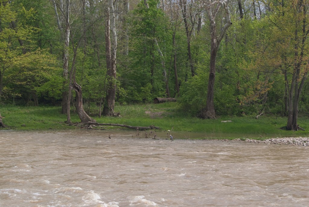 Don Miller Memorial Park (Formerly River Cliff Park) | 1329 Tiffin St, Fremont, OH 43420, USA | Phone: (419) 334-4495