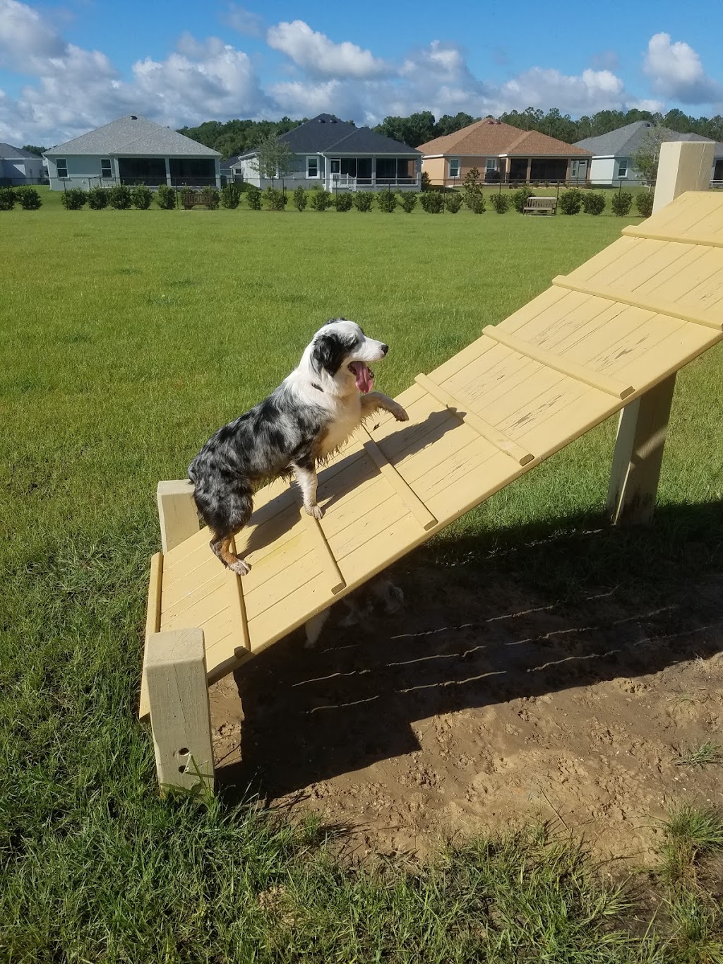 Dudley Canine Park and Archery Range | Wildwood, FL 32163, USA | Phone: (352) 674-8460