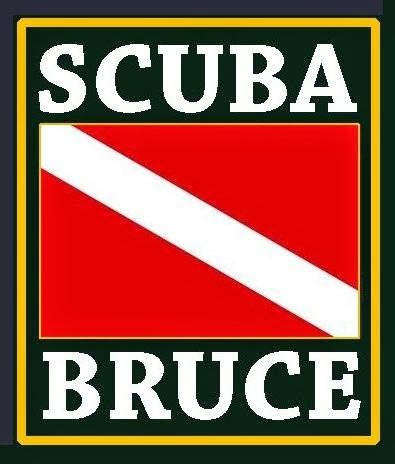 Scuba Bruce Diving | 3917 Mc Cart Ave, Fort Worth, TX 76110, USA | Phone: (817) 927-0581