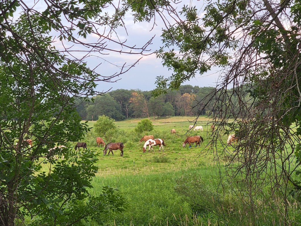 Bunker Hills Regional Park | 550 Bunker Lake Blvd NW, Andover, MN 55304, USA | Phone: (763) 324-3300