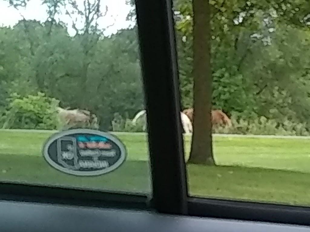 Holdridge Park | 850 Holdridge St, Foley, MN 56329, USA | Phone: (320) 968-7260