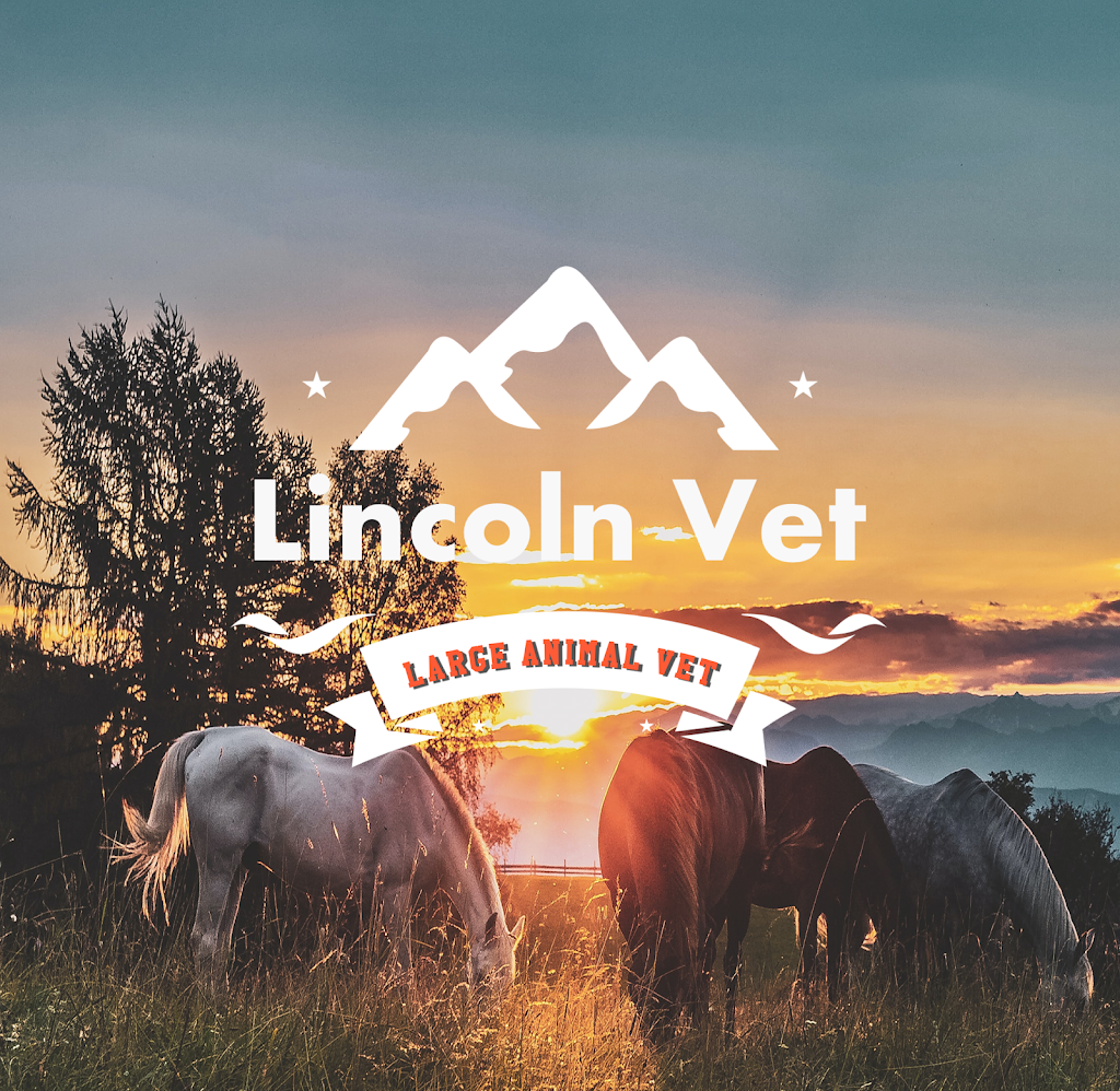 Lincoln Veterinary Services (LVS) | 6240 Young St, Smithville, ON L0R 2A0, Canada | Phone: (905) 957-3377