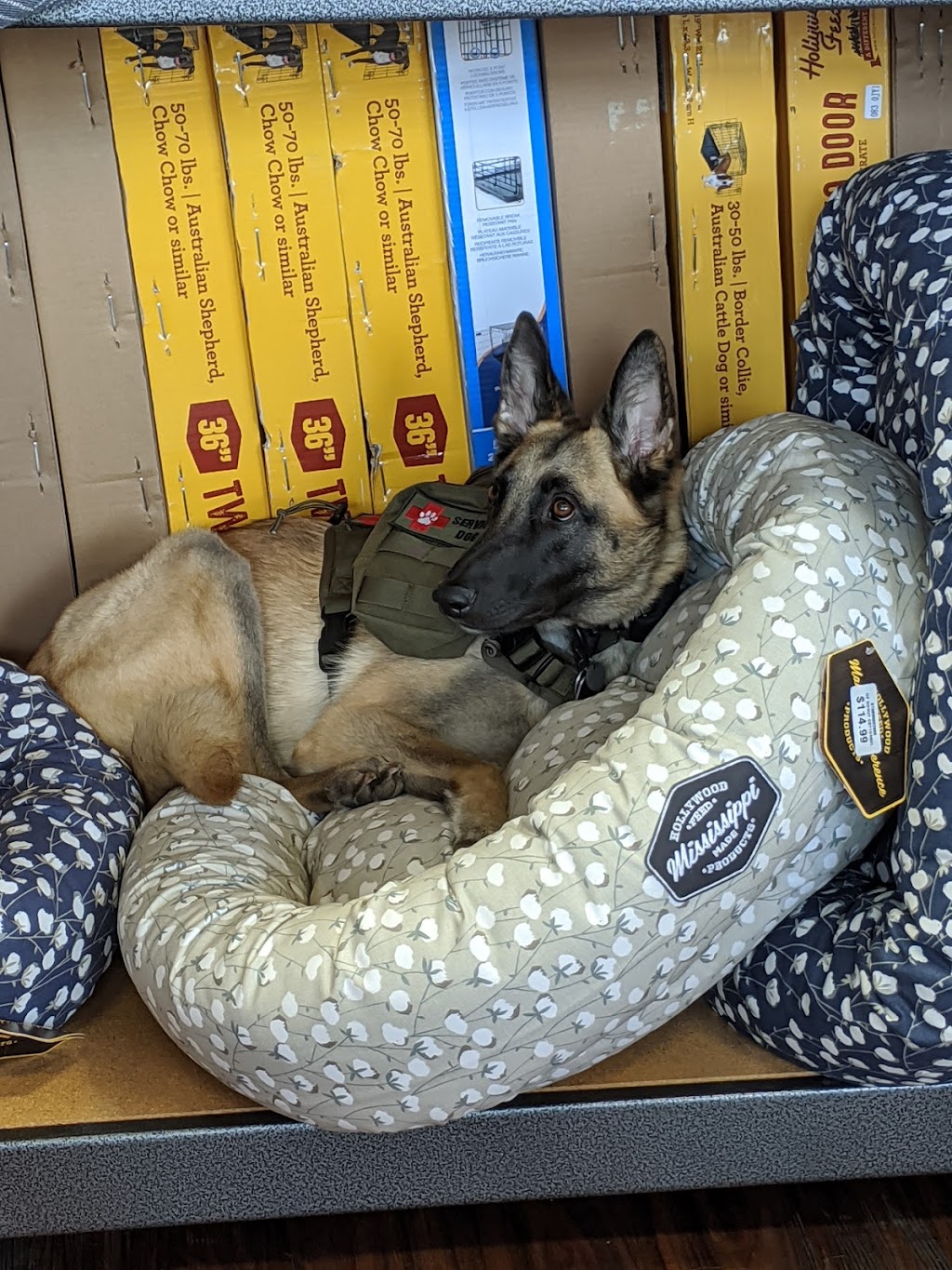 Hollywood Feed | 2170 FM 423 Suite 200, Little Elm, TX 75068, USA | Phone: (469) 535-3905