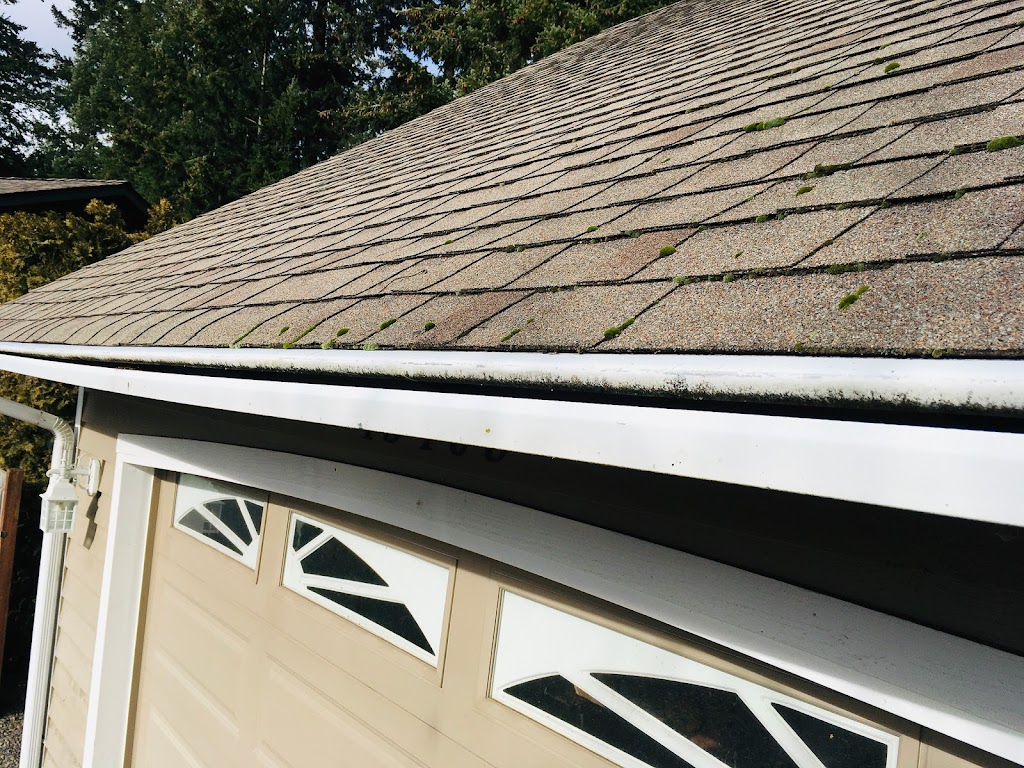 Perfect View Roof Cleaning & Care LLC. | 11721 234th Ave Ct E, Buckley, WA 98321, USA | Phone: (253) 455-6131