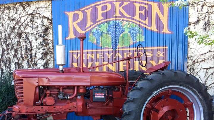 Ripken Vineyards & Winery | 2472 W Sargent Rd, Lodi, CA 95242, USA | Phone: (209) 367-9463
