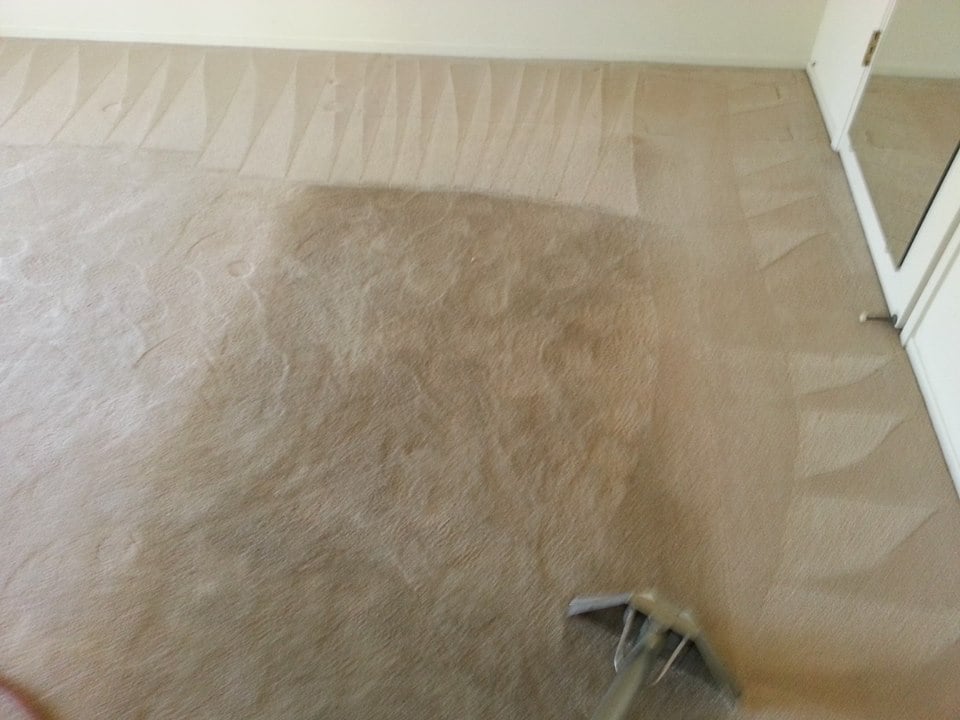 World Class Carpet Cleaning | 5303 Delta Dr, Rocklin, CA 95765, USA | Phone: (916) 606-7149