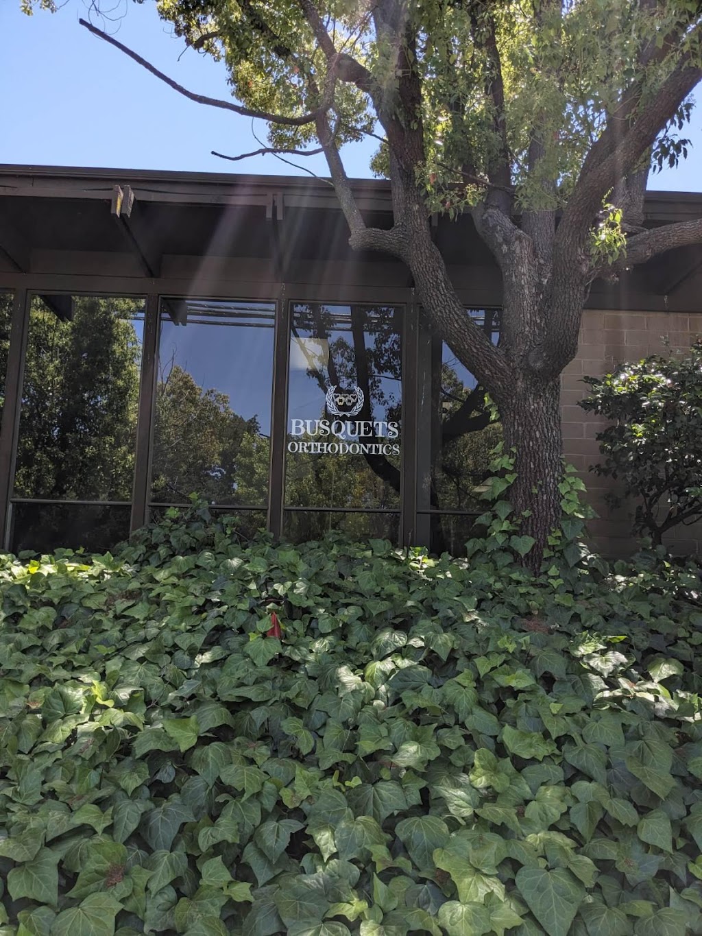 Busquets Orthodontics | 301 Alamo Dr # F, Vacaville, CA 95688, USA | Phone: (707) 427-1010