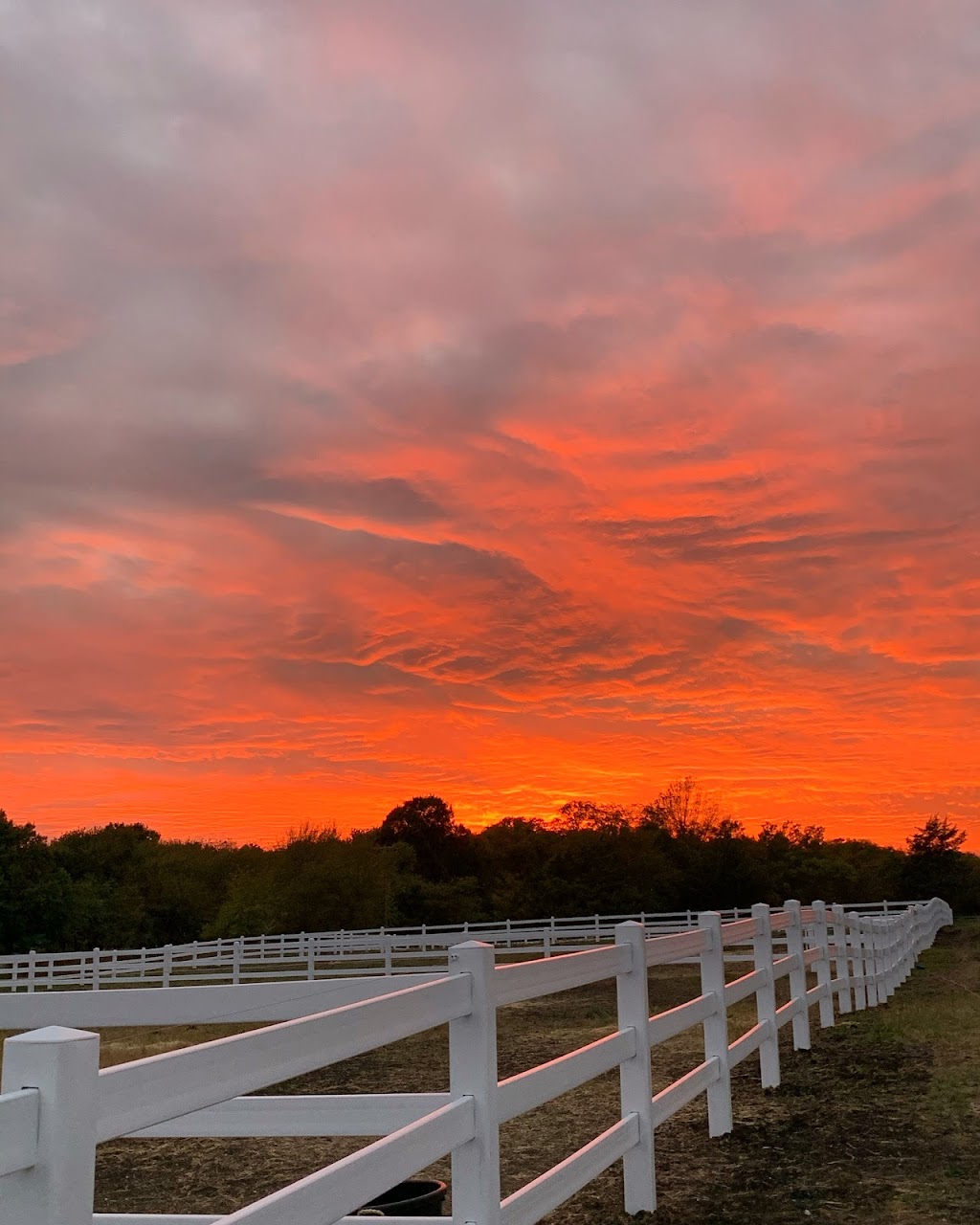 Lancaster Hill Stables | 8696 Co Rd 133, Celina, TX 75009, USA | Phone: (719) 353-7850