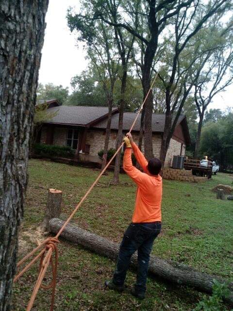 Adeleyvis Vazquez trees service | 240 goodwin ct, Lockhart, TX 78644, USA | Phone: (786) 239-5711